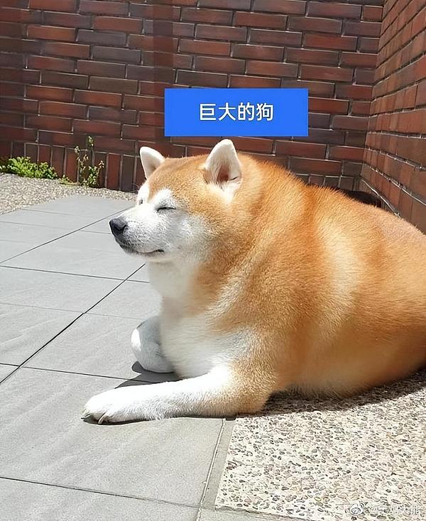 全链游戏革命：当虚拟世界真正属于玩家