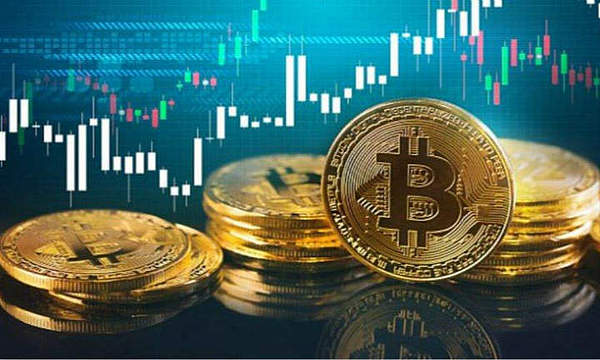 如何在币圈淘金？老司机教你识别下一个百倍币